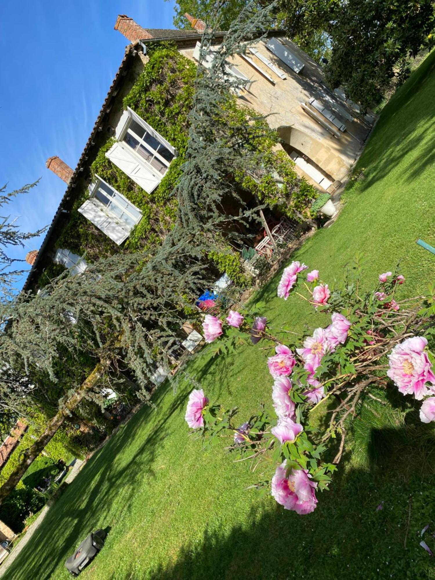 La Seigneurie De Tillac ภายนอก รูปภาพ