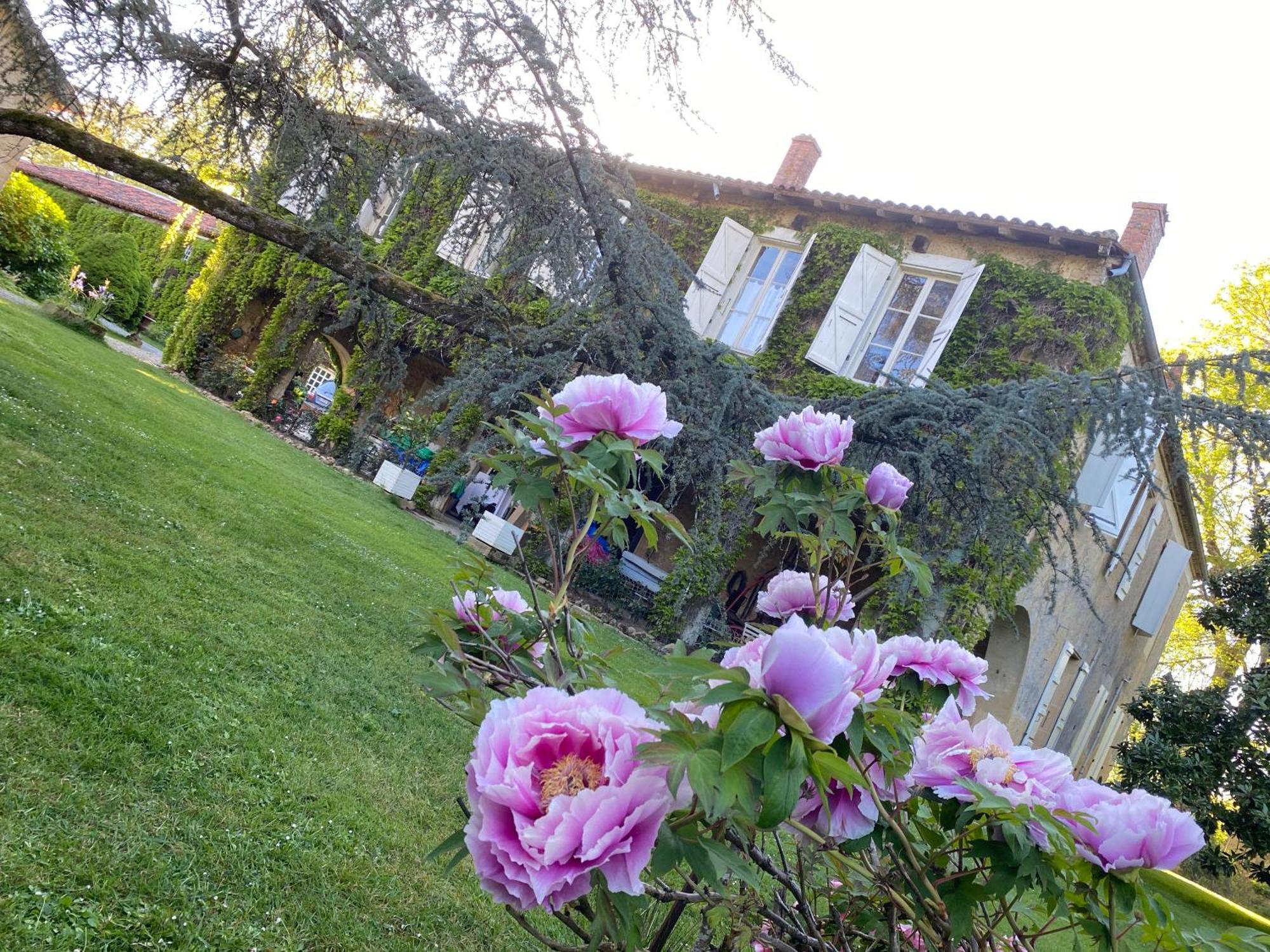 La Seigneurie De Tillac ภายนอก รูปภาพ